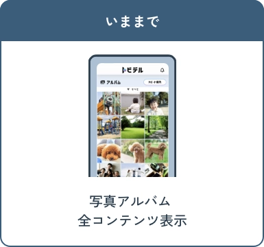 いままで 写真アルバム全コンテンツ表示