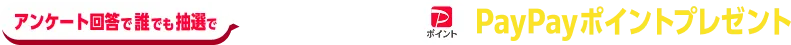 アンケート回答で誰でも抽選で最大2000円分PayPayポイントプレゼント