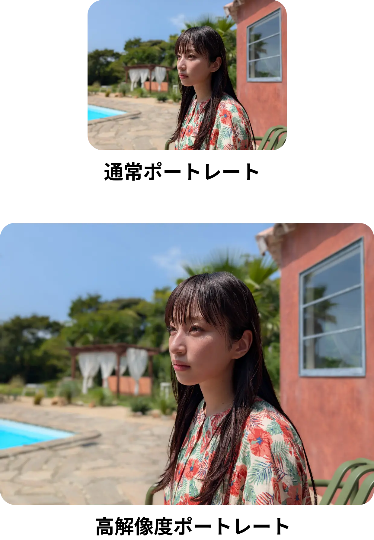 通常ポートレート/高解像度ポートレート