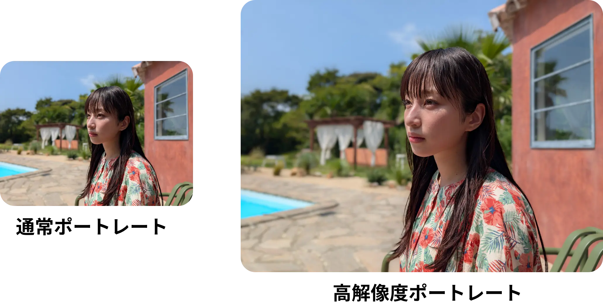 通常ポートレート/高解像度ポートレート