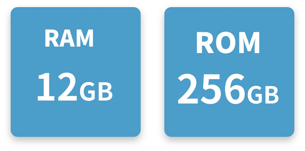 RAM 12GB / ROM 256GB