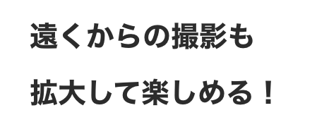 遠くからの撮影も拡大して楽しめる！