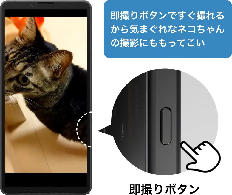 即撮りボタンですぐ撮れるから気まぐれなネコちゃんの撮影にももってこい