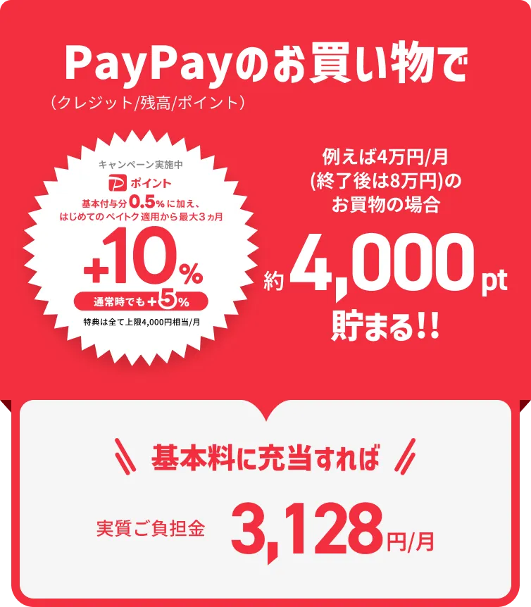 PayPayのお買い物で約4,000pt貯まる！！