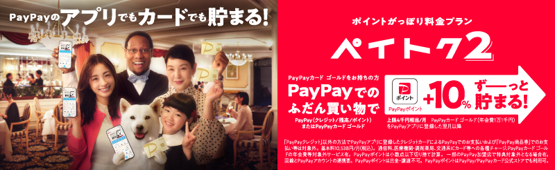 ポイントがっぽり料金プラン ペイトク2