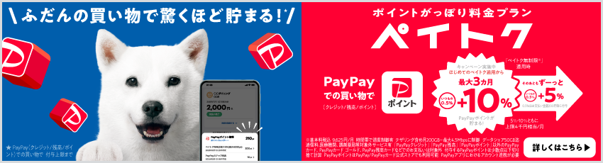 ポイントがっぽり料金プラン ペイトク