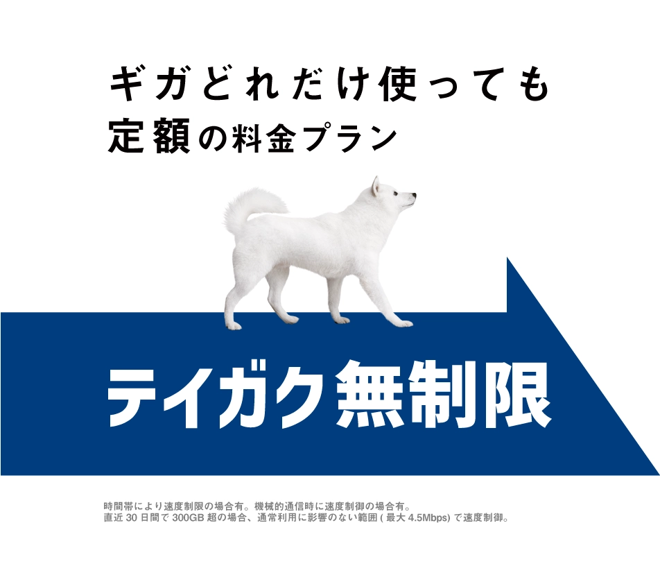 ギガどれだけ使っても定額の料金プラン テイガク無制限