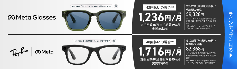 Meta Glasses