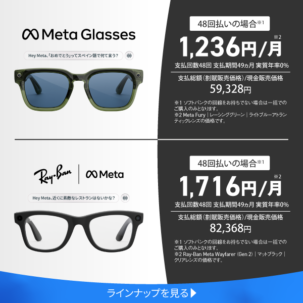 Meta Glasses