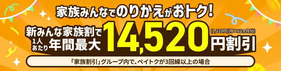 複数回線特設ページ