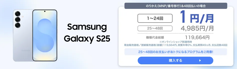 Samsung Galaxy S25